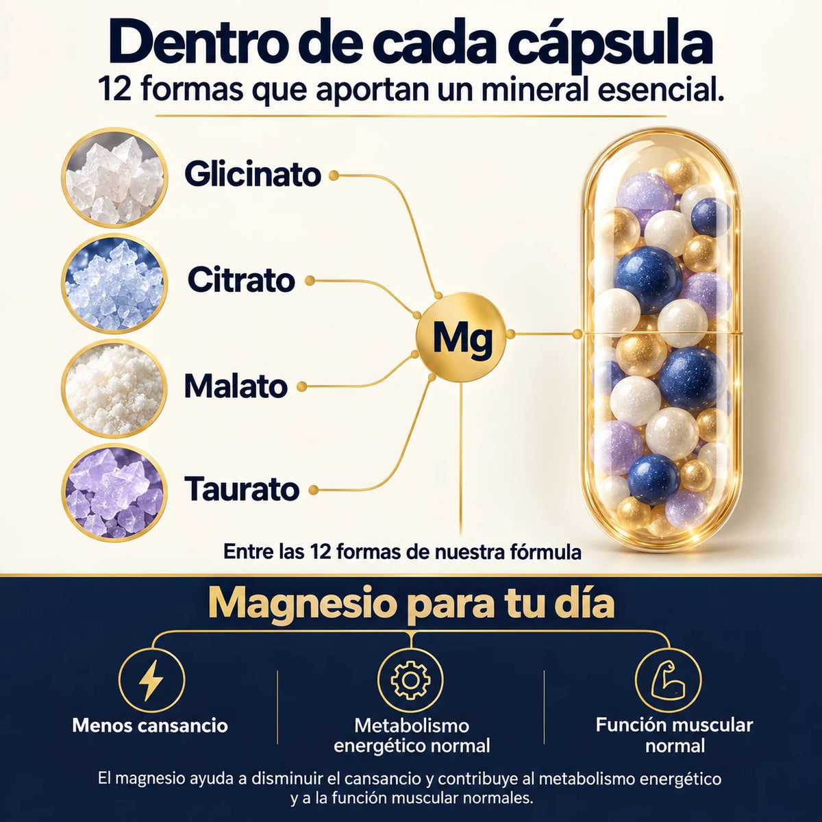 Complejo de Magnesio 12 en 1